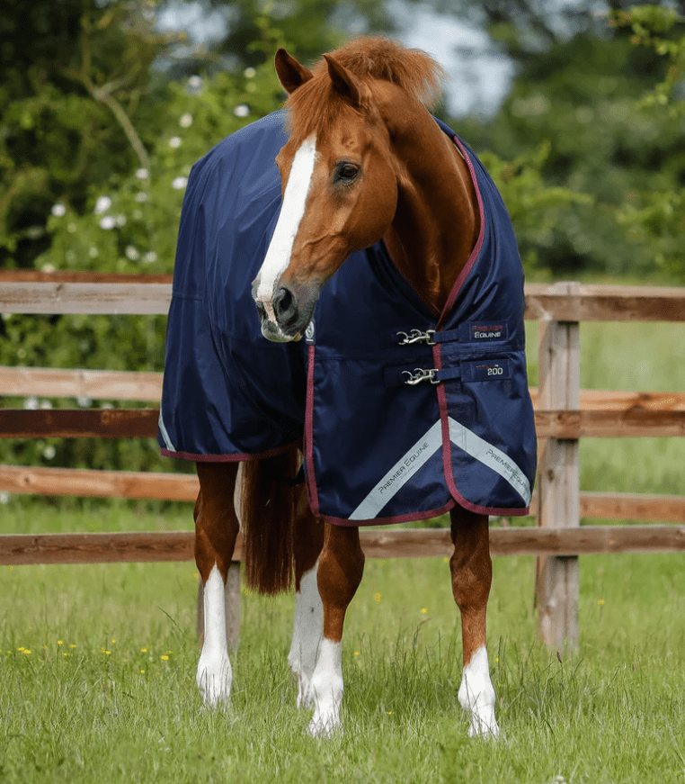 Premier Equine Titan 200G Original Turnout Rug > Horse > Orchard